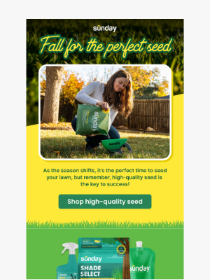 Sunday - 20% OFF Smarter Lawn Care, Tailored To Ashburn🌿