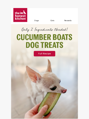 The Honest Kitchen - Frozen Cucumber Boats For Pups
