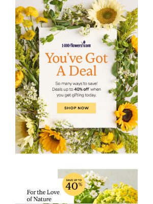 1-800-Flowers - Up to 40% off—because the right gift says everything