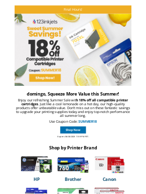 123inkjets - Summer Sale Alert: 18% Off Ink Ends Soon!