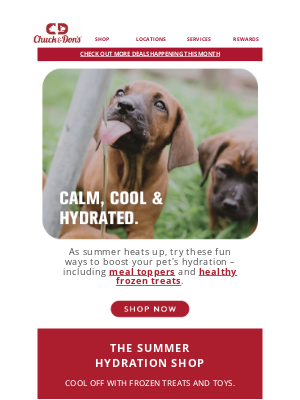 Kriser’s Natural Pet - Our 4 favorite hydrators for pets