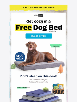BarkBox - This free dog bed offer? Almost gone.