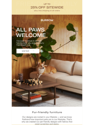 Burrow - Pets on the couch?