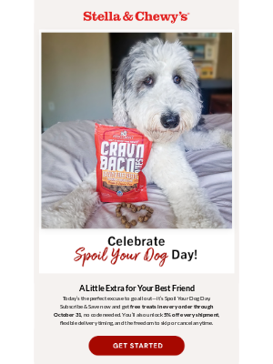 Stella & Chewy's - It’s Spoil Your Dog Day 🐶 Let’s Make It Count