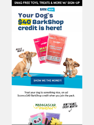 BarkBox - 📦  Special Delivery: $40 of Barkshop Credit for Your Pup