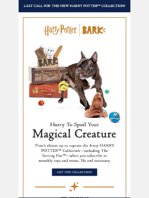 BarkBox - Last chance to bring home the magic of The HARRY POTTER™ Box ✨