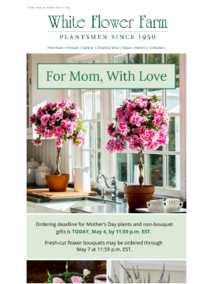 White Flower Farm - Last Call for Mother’s Day Plants & Gifts