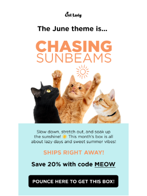 CatLadyBox - ☀️ cats love sun puddles