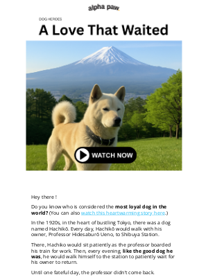Alpha Paw - 🐶 World's Most Loyal Dog? (Watch Now)