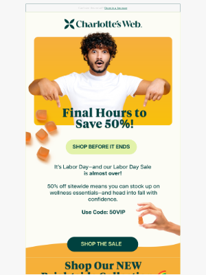 Charlotte's Web - Celebrate Labor Day with 50% Off 🎉