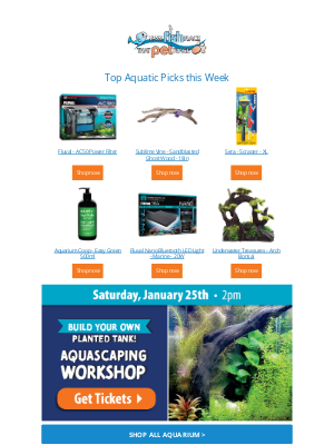 That Pet Place - January's TOP 6 Aquatic Picks are here!