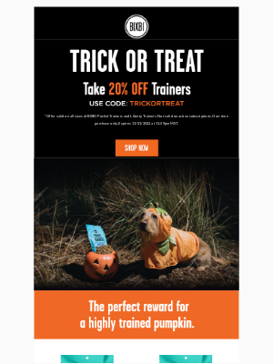 BIXBI Pet - 👻 Paws Off My Treats, Witches. Take 20% OFF Trainers 🎃