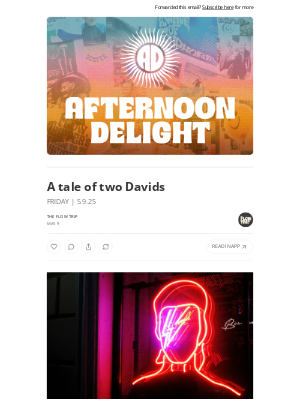 Whalebone - A tale of two Davids ☀️