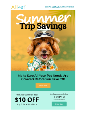 Allivet - ☀️ Add savings to your summer plans!