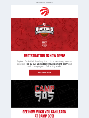 Toronto Raptors - Register Now for Raptors Basketball Academy & Camp 905!