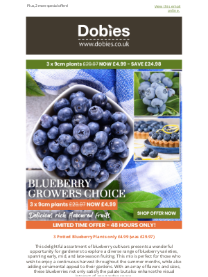 Dobies (United Kingdom) - 3 Potted Blueberry Plants only £4.99 (was £29.97)