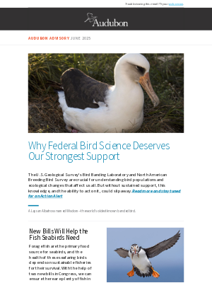 National Audubon Society - Irreplaceable Bird Science Programs | 17K Speak Out for Bird Habitat