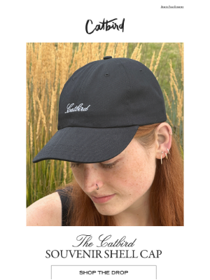 Catbird - Meet the Shell Cap 🐚