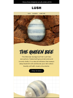 🐝 Scrubee or not to Scrubee?