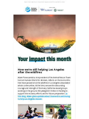 Humane Society of the United States - Supporter update: Rescuing animals in need