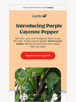 Gardyn - The Purple Pepper That's About to Change Your Kitchen