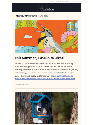 National Audubon Society - Summer Fun with Birds in the Sun ☀️