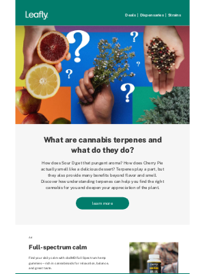 Leafly - 👉 Your guide to cannabis terpenes