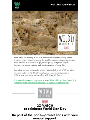 Wildlife Conservation Society - It’s World Lion Day!