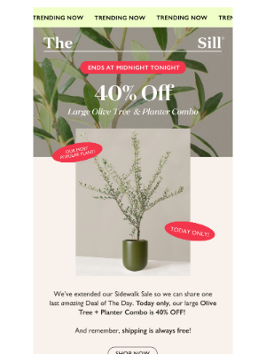 The Sill - ⏳LAST DAY + 40% Off This Year's Most Popular Plant...