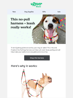 Rover.com - Get ready for more enjoyable walks with your dog