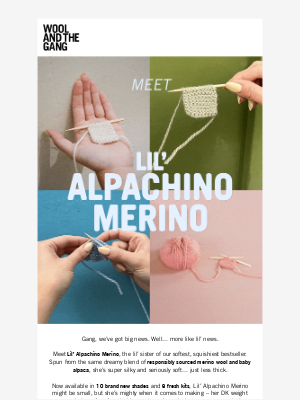 Wool and the Gang - NEW YARN: Lil’ Alpachino Merino