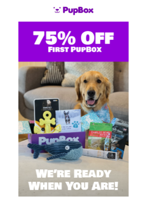 PupBox - 🚨 Countdown Alert: 75% Off Your First Box! 🐶