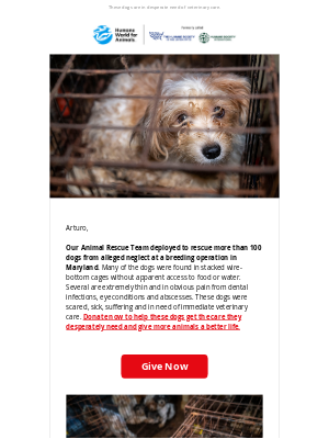 Humane Society of the United States - Urgent: 100 dogs rescued from alleged neglect
