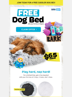 BarkShop - Play Hard, Nap Harder With A FREE Dog Bed💤🐶