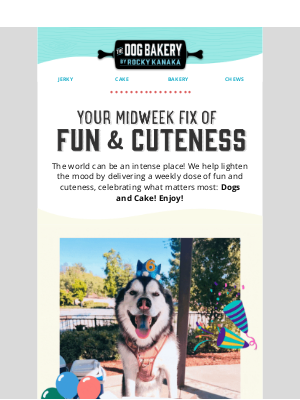 The Dog Bakery - 50% Off Dog Cookies (Limited Time!)