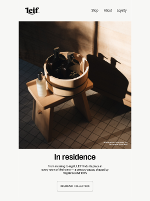 Leif - A place in every room