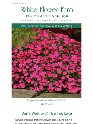 White Flower Farm - These Annuals Are Almost Gone!