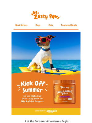Zesty Paws - ☀️ Keep your pup moving all summer long! 🐾