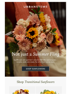 The season’s shifting but sunflowers shine on