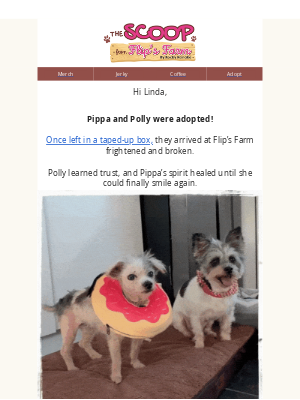 The Dog Bakery - Pippa & Polly Found Their Family 💕