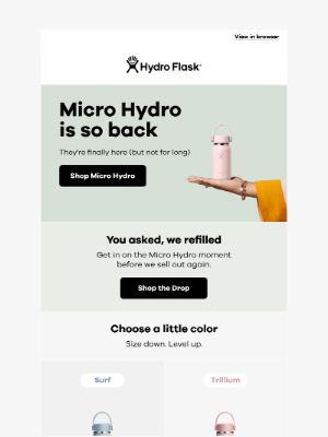Hydroflask - RESTOCK: Micro Hydros are here