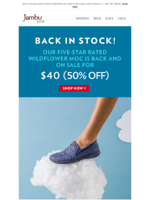 10+ Back in Stock Email Examples & Tips to Boost Sales - MailCharts