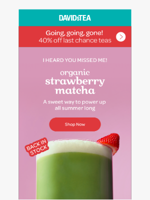 DAVIDsTEA - One of our best is back