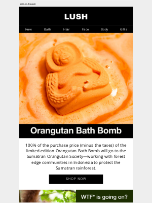 Lush North America - WTF* is going on?