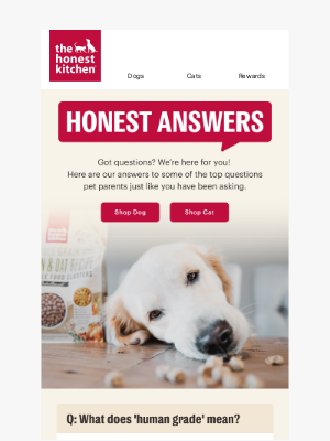 The Honest Kitchen - You’ve Got Questions, We’ve Got Answers