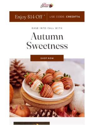1-800-Flowers - $12.33 off - we're ready for fall! 🍂