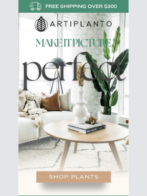 artiplanto - Make Your Home Decor This Picture Perfect artiplanto 📸