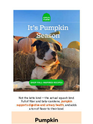 Open Farm - Forget the Latte—This Is Pumpkin Spice 🎃