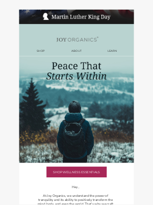 Joy Organics - A Moment of Calm for You 🌿