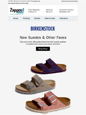 Zappos - Birkenstock Icons Updated